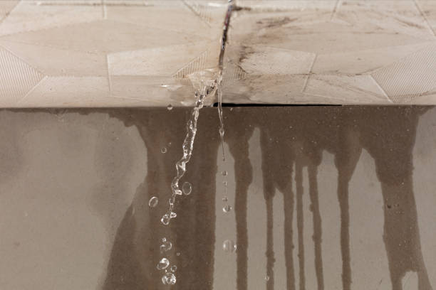 Professional Structural Drying technician working in Parker, FL